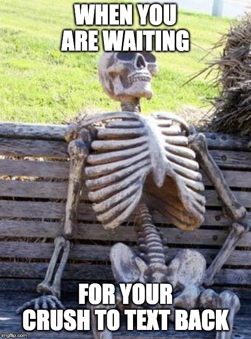 Waiting Skeleton Meme | WHEN YOU ARE WAITING; FOR YOUR CRUSH TO TEXT BACK | image tagged in memes,waiting skeleton | made w/ Imgflip meme maker