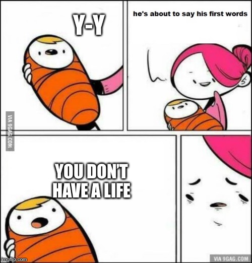 Y-Y; YOU DON’T HAVE A LIFE | image tagged in funny | made w/ Imgflip meme maker