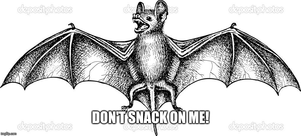 DON'T SNACK ON ME! | image tagged in patriot,bet eater,coronavirus | made w/ Imgflip meme maker
