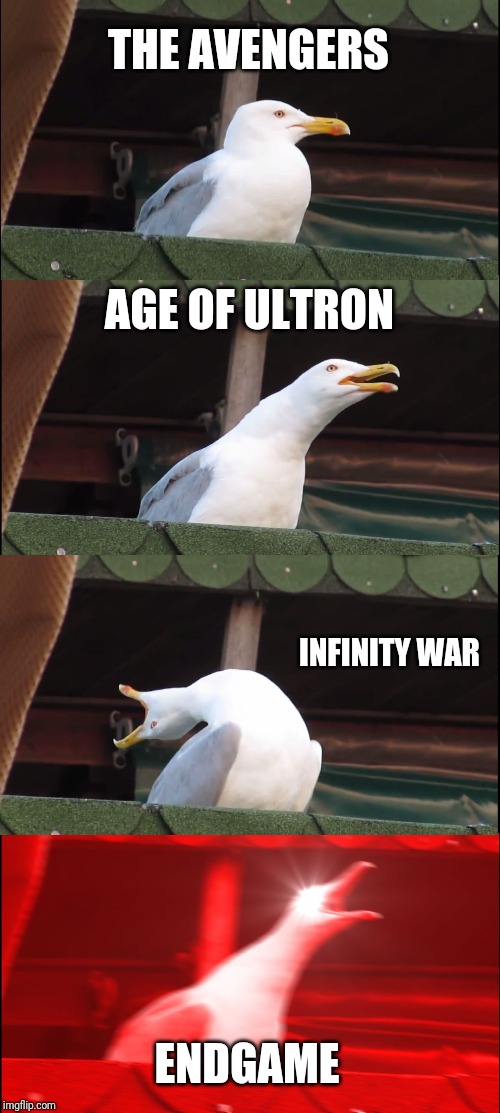 Inhaling Seagull | THE AVENGERS; AGE OF ULTRON; INFINITY WAR; ENDGAME | image tagged in memes,inhaling seagull | made w/ Imgflip meme maker