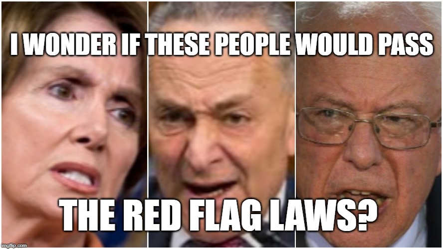 Trump Derangement Syndrome | I WONDER IF THESE PEOPLE WOULD PASS; THE RED FLAG LAWS? | image tagged in trump derangement syndrome | made w/ Imgflip meme maker