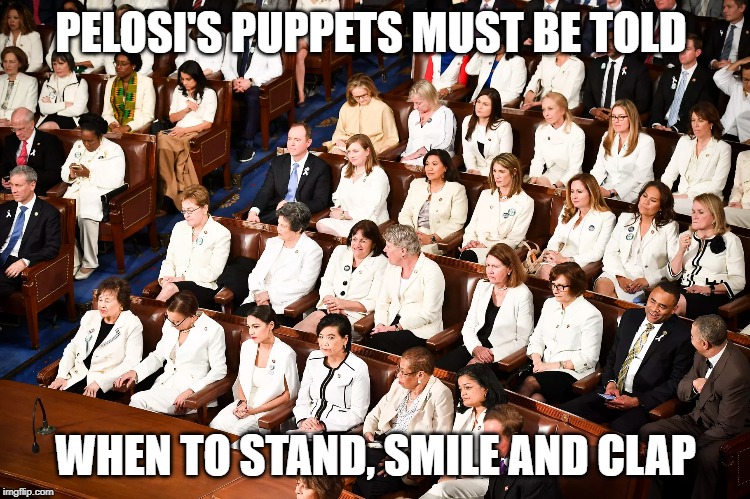 WOMEN IN WHITE | PELOSI'S PUPPETS MUST BE TOLD; WHEN TO STAND, SMILE AND CLAP | image tagged in women in white | made w/ Imgflip meme maker