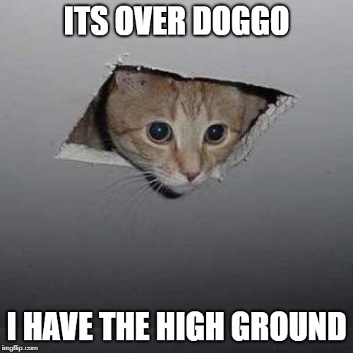 Ceiling Cat | ITS OVER DOGGO; I HAVE THE HIGH GROUND | image tagged in memes,ceiling cat | made w/ Imgflip meme maker