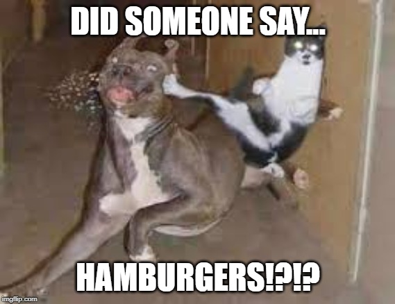 did some one say ____???? | DID SOMEONE SAY... HAMBURGERS!?!? | image tagged in did some one say ____ | made w/ Imgflip meme maker