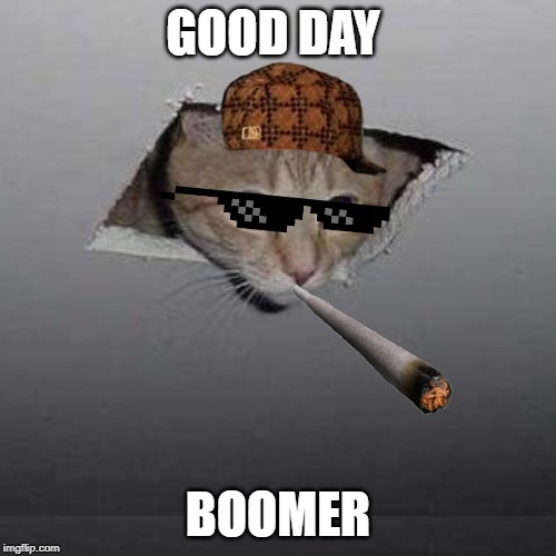 Ceiling Cat | GOOD DAY; BOOMER | image tagged in memes,ceiling cat | made w/ Imgflip meme maker