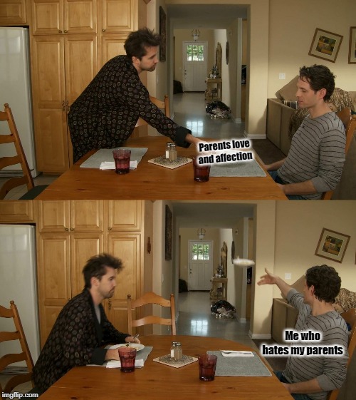 Plate toss | Parents love and affection; Me who hates my parents | image tagged in plate toss | made w/ Imgflip meme maker