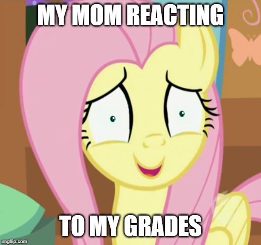 Fluttershy's face defines every detail of my life. | MY MOM REACTING; TO MY GRADES | image tagged in my little pony friendship is magic | made w/ Imgflip meme maker