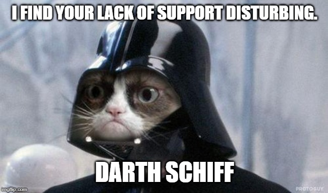 Grumpy Cat Star Wars Meme | I FIND YOUR LACK OF SUPPORT DISTURBING. DARTH SCHIFF | image tagged in memes,grumpy cat star wars,grumpy cat | made w/ Imgflip meme maker
