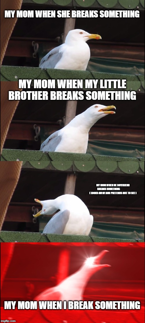 Inhaling Seagull Meme | MY MOM WHEN SHE BREAKS SOMETHING; MY MOM WHEN MY LITTLE BROTHER BREAKS SOMETHING; MY MOM WHEN HE BOYFRIEND BREAKS SOMETHING                  ( LOOKS AWAY AND PRETENDS NOT TO SEE ); MY MOM WHEN I BREAK SOMETHING | image tagged in memes,inhaling seagull | made w/ Imgflip meme maker
