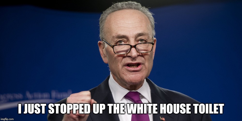 chuck Schumer | I JUST STOPPED UP THE WHITE HOUSE TOILET | image tagged in chuck schumer | made w/ Imgflip meme maker