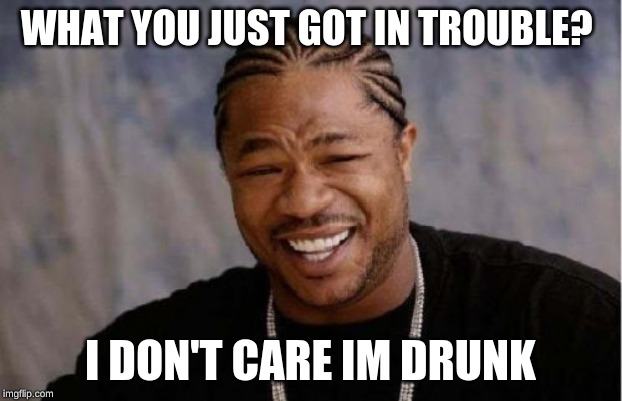 Yo Dawg Heard You Meme | WHAT YOU JUST GOT IN TROUBLE? I DON'T CARE IM DRUNK | image tagged in memes,yo dawg heard you | made w/ Imgflip meme maker