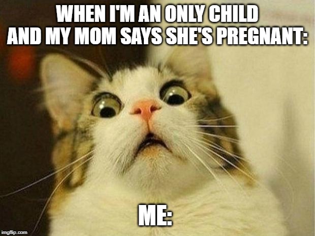 Scared Cat |  WHEN I'M AN ONLY CHILD AND MY MOM SAYS SHE'S PREGNANT:; ME: | image tagged in memes,scared cat | made w/ Imgflip meme maker