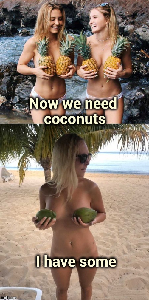 "If you like Pina Coladas . . . " | Now we need
 coconuts; I have some | image tagged in pineapple,coconut,why is the rum gone,tropical,fruits | made w/ Imgflip meme maker