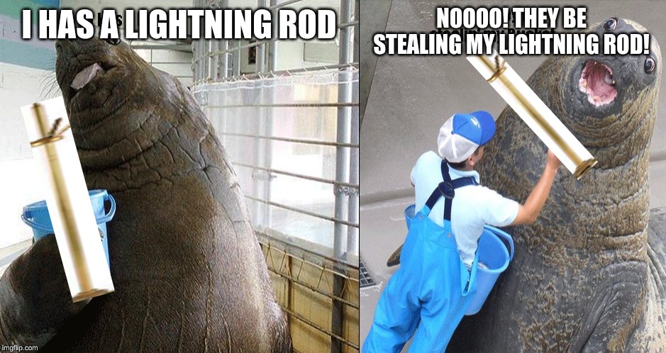 I Has A Bucket | NOOOO! THEY BE STEALING MY LIGHTNING ROD! I HAS A LIGHTNING ROD | image tagged in i has a bucket | made w/ Imgflip meme maker