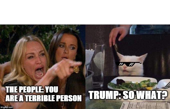 Woman Yelling At Cat | THE PEOPLE: YOU ARE A TERRIBLE PERSON; TRUMP: SO WHAT? | image tagged in memes,woman yelling at cat | made w/ Imgflip meme maker