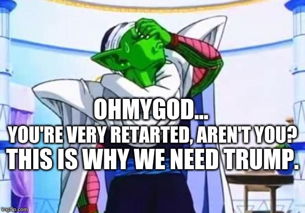 Piccolo's facepalm | OHMYGOD... YOU'RE VERY RETARTED, AREN'T YOU? THIS IS WHY WE NEED TRUMP. | image tagged in piccolo's facepalm | made w/ Imgflip meme maker