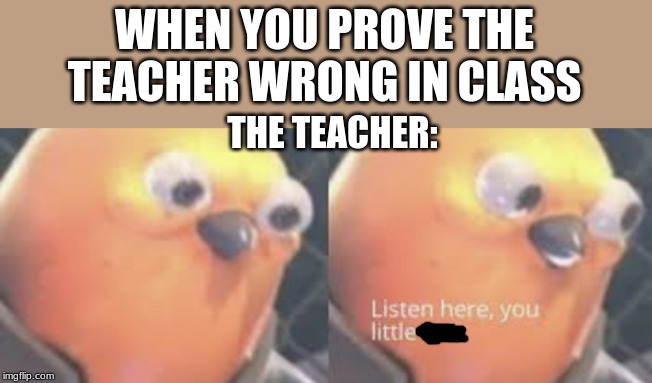 Listen here you little shit bird | WHEN YOU PROVE THE TEACHER WRONG IN CLASS; THE TEACHER: | image tagged in listen here you little shit bird | made w/ Imgflip meme maker
