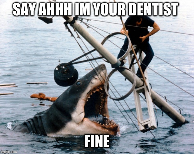 Jaws | SAY AHHH IM YOUR DENTIST; FINE | image tagged in jaws | made w/ Imgflip meme maker