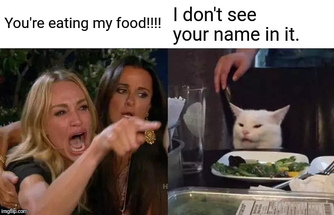 Woman Yelling At Cat Meme | You're eating my food!!!! I don't see your name in it. | image tagged in memes,woman yelling at cat | made w/ Imgflip meme maker