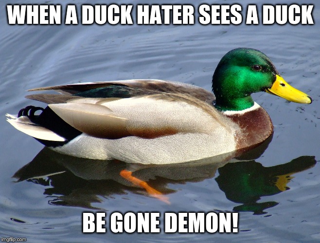 WHEN A DUCK HATER SEES A DUCK; BE GONE DEMON! | image tagged in duck hater | made w/ Imgflip meme maker