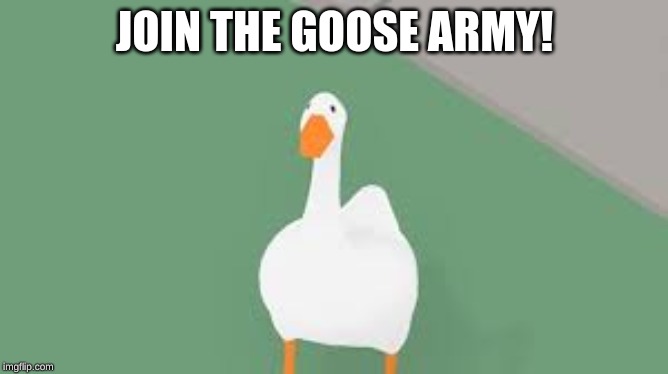 JOIN THE GOOSE ARMY! | image tagged in goose army | made w/ Imgflip meme maker