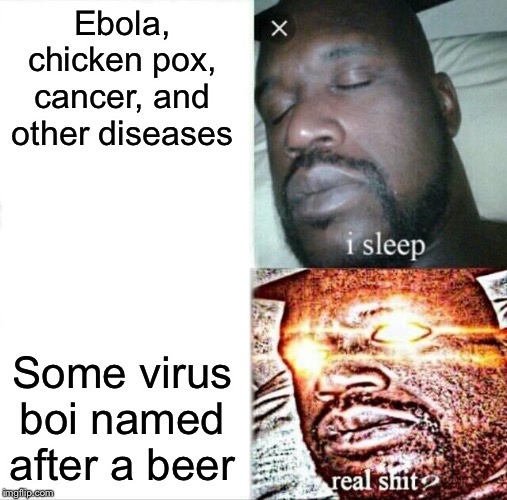 Sleeping Shaq Meme | Ebola, chicken pox, cancer, and other diseases; Some virus boi named after a beer | image tagged in memes,sleeping shaq | made w/ Imgflip meme maker