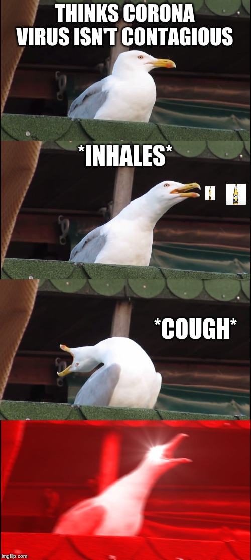 Inhaling Seagull Meme | THINKS CORONA VIRUS ISN'T CONTAGIOUS; *INHALES*; *COUGH* | image tagged in memes,inhaling seagull | made w/ Imgflip meme maker