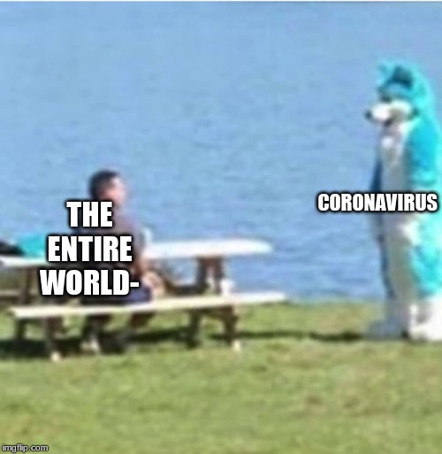 Furry Staring | CORONAVIRUS; THE ENTIRE WORLD- | image tagged in furry staring | made w/ Imgflip meme maker