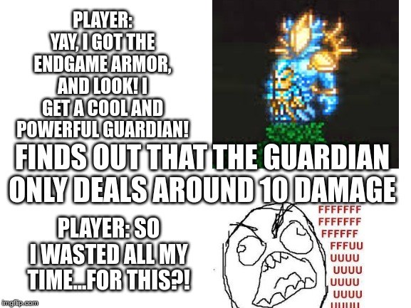 Blank White Template | PLAYER: YAY, I GOT THE ENDGAME ARMOR, AND LOOK! I GET A COOL AND POWERFUL GUARDIAN! FINDS OUT THAT THE GUARDIAN ONLY DEALS AROUND 10 DAMAGE; PLAYER: SO I WASTED ALL MY TIME...FOR THIS?! | image tagged in blank white template | made w/ Imgflip meme maker