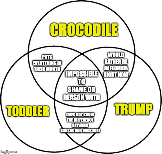 Venn diagram | CROCODILE; PUTS EVERYTHING IN THEIR MOUTH; WOULD RATHER BE IN FLORIDA RIGHT NOW; IMPOSSIBLE TO SHAME OR REASON WITH; TODDLER; TRUMP; DOES NOT KNOW THE DIFFERENCE BETWEEN KANSAS AND MISSOURI | image tagged in venn diagram | made w/ Imgflip meme maker