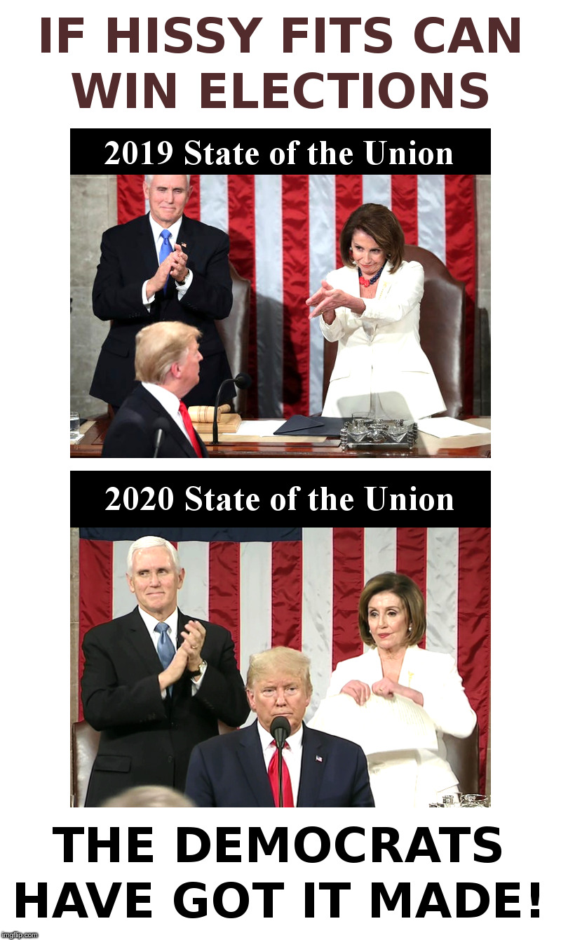 If Hissy Fits Can Win Elections | image tagged in state of the union,nancy pelosi,democrats,trump,trump derangement syndrome | made w/ Imgflip meme maker