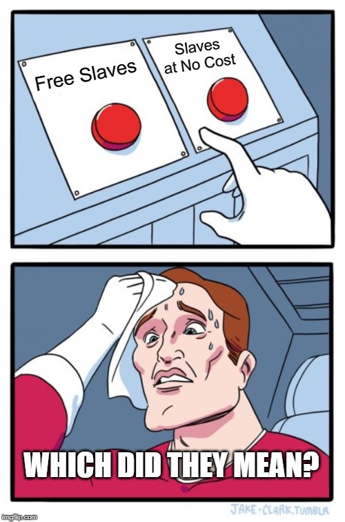 Two Buttons Meme | Free Slaves Slaves at No Cost WHICH DID THEY MEAN? | image tagged in memes,two buttons | made w/ Imgflip meme maker