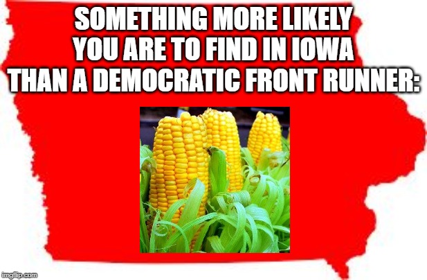 The Failure | SOMETHING MORE LIKELY YOU ARE TO FIND IN IOWA THAN A DEMOCRATIC FRONT RUNNER: | image tagged in iowa | made w/ Imgflip meme maker