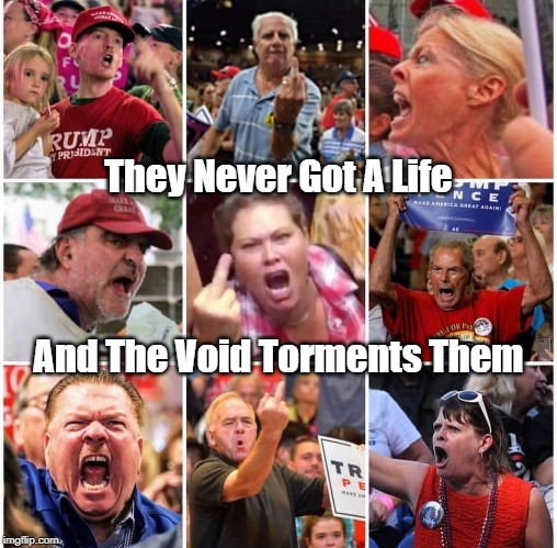 "They Never Got A Life. And Now..." | They Never Got A Life And The Void Torments Them | image tagged in get a life,whom the gods would destroy they first make mad,political violence is almost entirely right-wing,conservatives just d | made w/ Imgflip meme maker