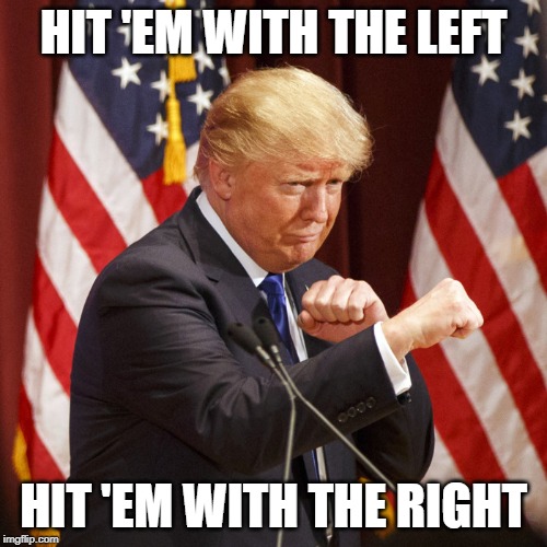 DonThree6MafiaStyle | HIT 'EM WITH THE LEFT; HIT 'EM WITH THE RIGHT | image tagged in donald trump,trump,boxing,rap,fight,swag | made w/ Imgflip meme maker
