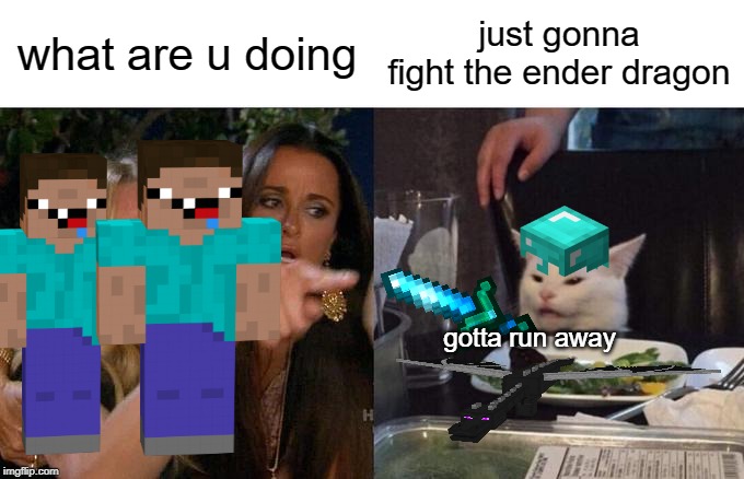 Woman Yelling At Cat | what are u doing; just gonna fight the ender dragon; gotta run away | image tagged in memes,woman yelling at cat | made w/ Imgflip meme maker