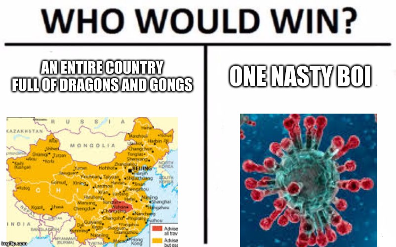 Who Would Win? Meme | AN ENTIRE COUNTRY FULL OF DRAGONS AND GONGS; ONE NASTY BOI | image tagged in memes,who would win | made w/ Imgflip meme maker