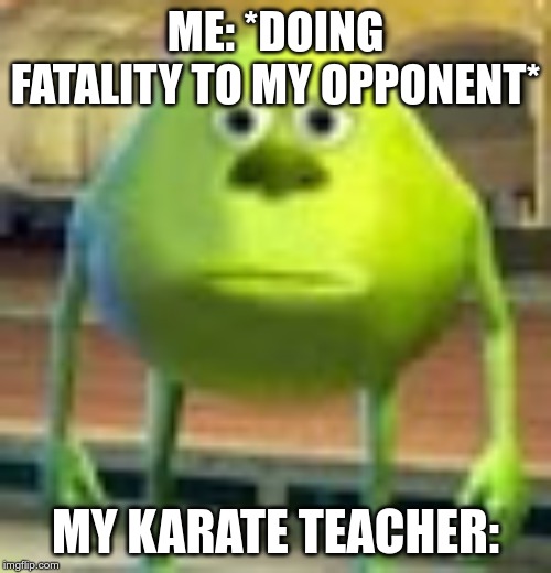 Sully Wazowski | ME: *DOING FATALITY TO MY OPPONENT*; MY KARATE TEACHER: | image tagged in sully wazowski | made w/ Imgflip meme maker