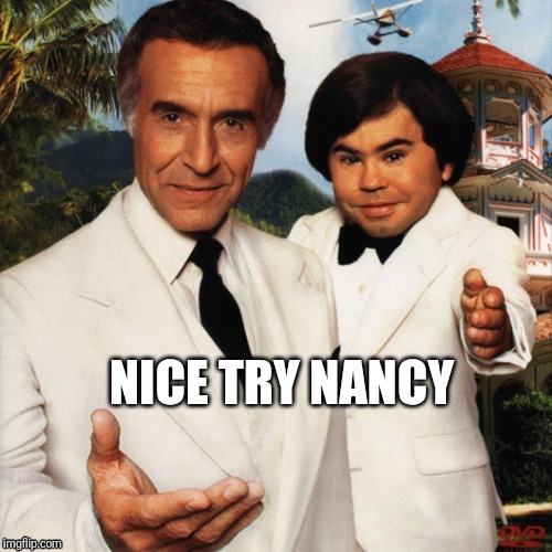 Nancy | NICE TRY NANCY | image tagged in donald trump | made w/ Imgflip meme maker
