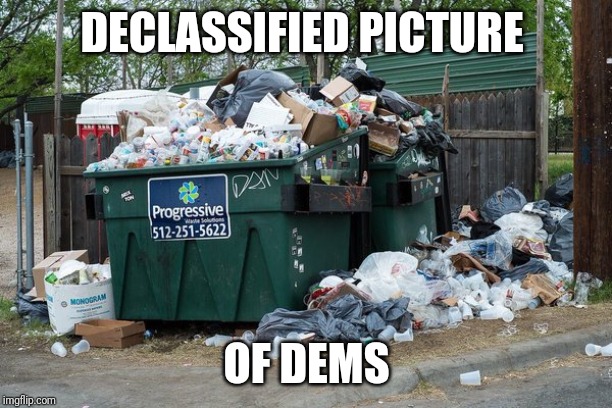 garbage  | DECLASSIFIED PICTURE; OF DEMS | image tagged in garbage | made w/ Imgflip meme maker