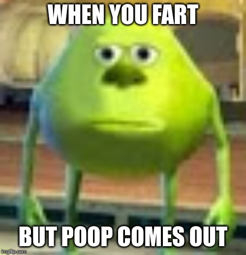 Sully Wazowski | WHEN YOU FART; BUT POOP COMES OUT | image tagged in sully wazowski | made w/ Imgflip meme maker