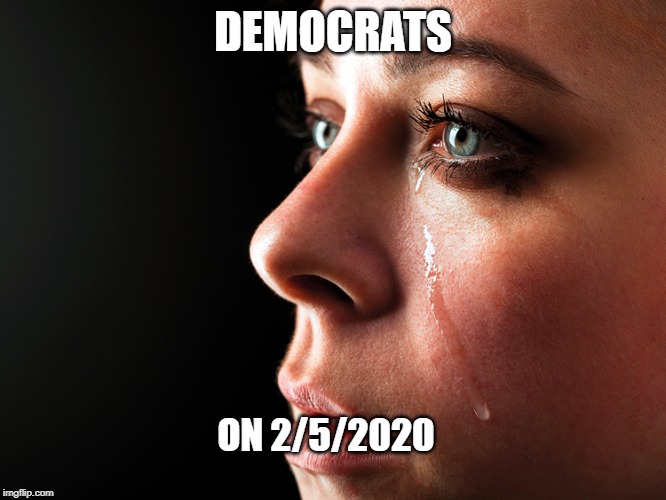 DEMOCRATS; ON 2/5/2020 | image tagged in democrats,crying,impeachment,republicans | made w/ Imgflip meme maker