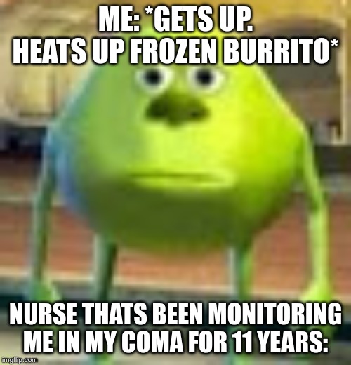 Sully Wazowski | ME: *GETS UP. HEATS UP FROZEN BURRITO*; NURSE THATS BEEN MONITORING ME IN MY COMA FOR 11 YEARS: | image tagged in sully wazowski | made w/ Imgflip meme maker
