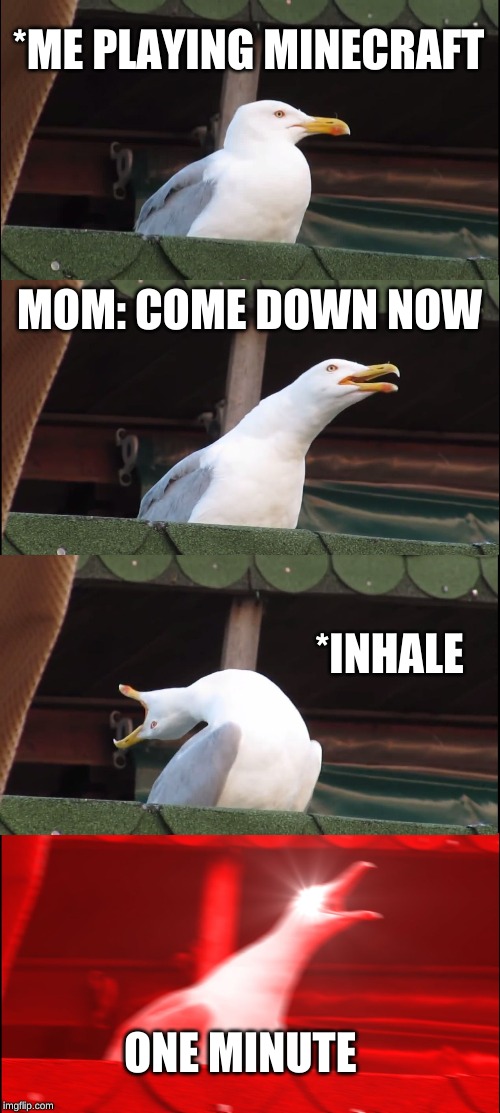 Inhaling Seagull Meme | *ME PLAYING MINECRAFT; MOM: COME DOWN NOW; *INHALE; ONE MINUTE | image tagged in memes,inhaling seagull | made w/ Imgflip meme maker
