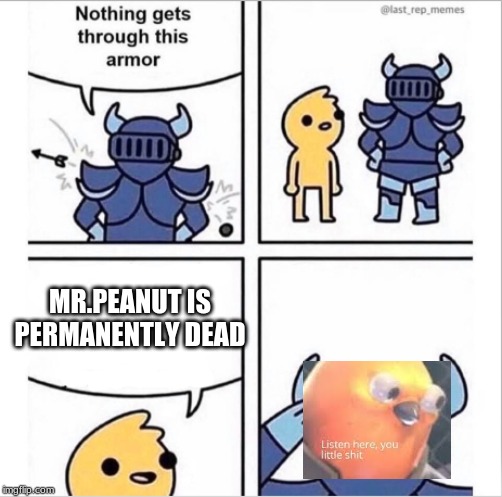 knight armor | MR.PEANUT IS PERMANENTLY DEAD | image tagged in knight armor | made w/ Imgflip meme maker