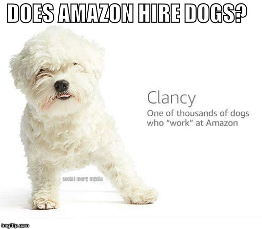 Amazon | DOES AMAZON HIRE DOGS? | image tagged in amazon,jobs,dogs,social media,social more media | made w/ Imgflip meme maker