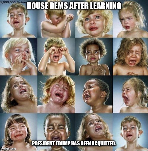 crying babies  | HOUSE DEMS AFTER LEARNING; PRESIDENT TRUMP HAS BEEN ACQUITTED. | image tagged in crying babies | made w/ Imgflip meme maker