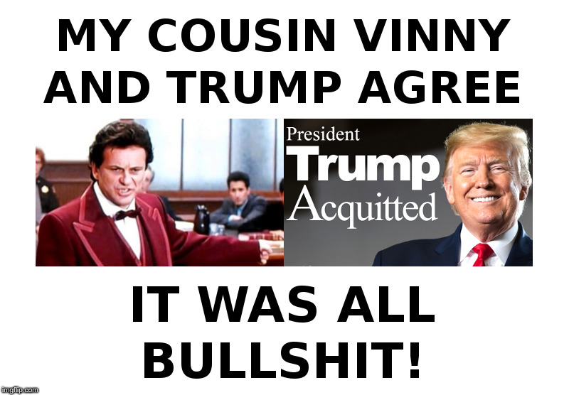 My Cousin Vinny and Trump Agree! | image tagged in trump,my cousin vinny,impeachment,bullshit | made w/ Imgflip meme maker