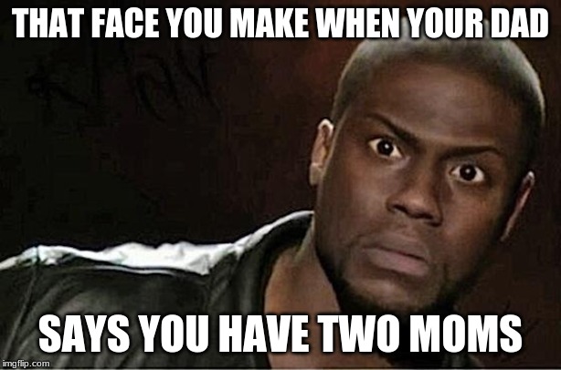 Kevin Hart Meme | THAT FACE YOU MAKE WHEN YOUR DAD; SAYS YOU HAVE TWO MOMS | image tagged in memes,kevin hart | made w/ Imgflip meme maker