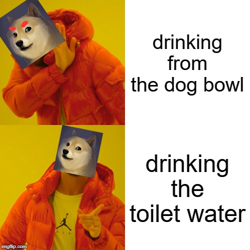 Dog woofline bling | drinking from the dog bowl; drinking the toilet water | image tagged in memes,drake hotline bling,doge | made w/ Imgflip meme maker